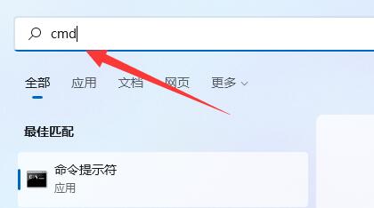 win11νԎIPwin11ԎIP̳