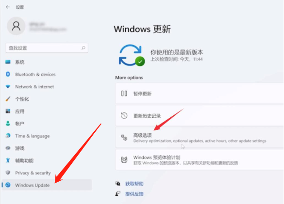 win11ϵy(tng)ô֏(f)SO(sh)win11X֏(f)SO(sh)ò̳