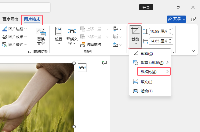 Word2024ԄӰ43MвüWord202443Mвüķ2
