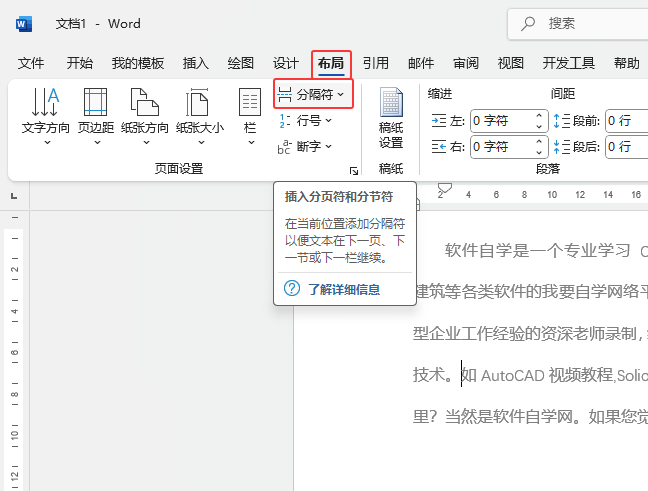 word2024如何在文檔中插入分頁符的方法第2步