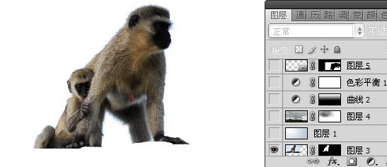 用Photoshop制作保護環(huán)境的宣傳海報_軟件自學網(wǎng)