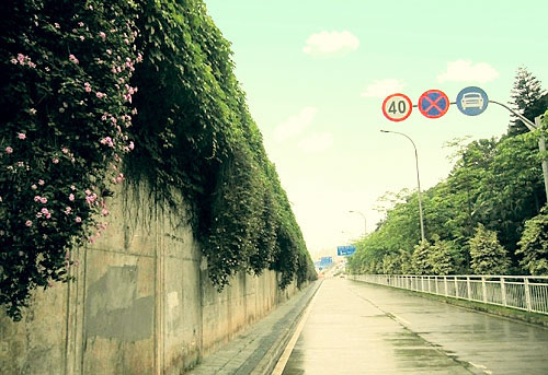 Photoshop制作非主流色調的圖片第1步