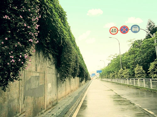 Photoshopɫ{ĈDƬ16