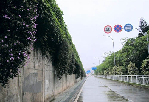 Photoshop制作非主流色調的圖片第3步