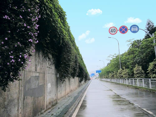 Photoshop制作非主流色調的圖片第6步