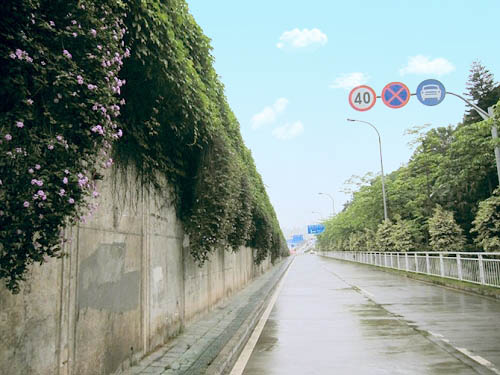 Photoshop制作非主流色調的圖片第7步